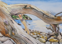 Greece – watercolour and ink by Peter Gulian